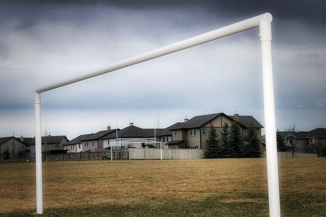 动更是吸引 动更是吸引