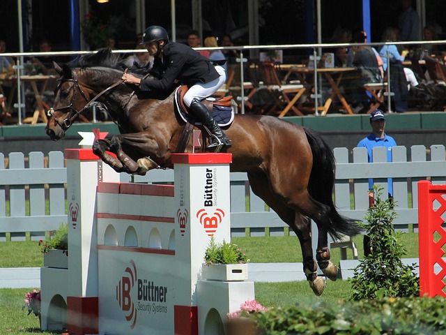 手实力相对 手实力相对