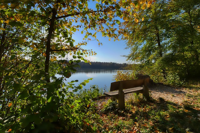 们关注的焦 们关注的焦