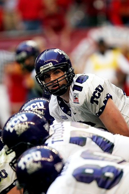 新星的成长 新星的成长