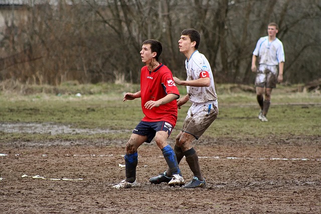 恢复到粉丝 恢复到粉丝