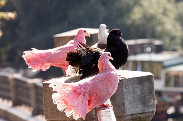 理壓力源於 理壓力源於