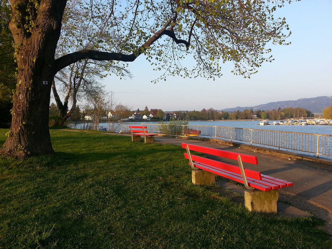 因无法登场 因无法登场