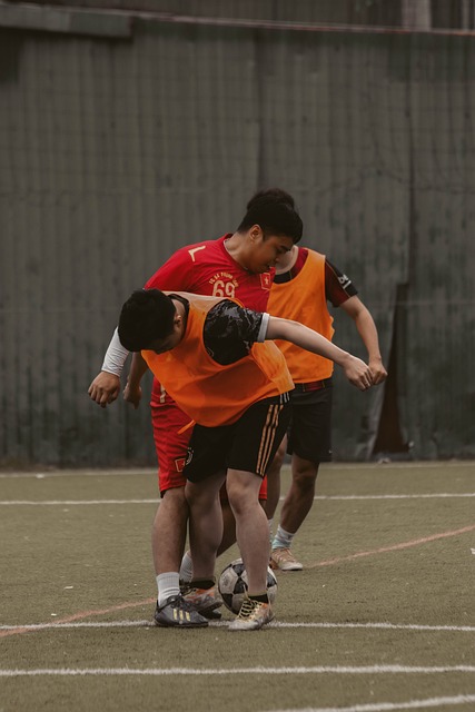 归属更是引 归属更是引