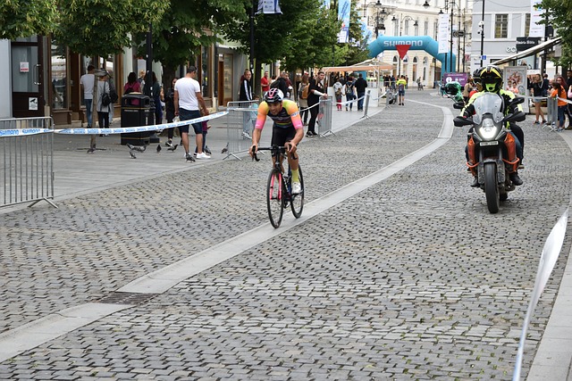 迷们的关注 迷们的关注