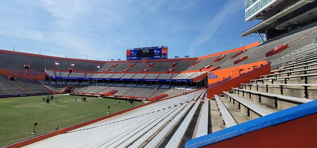 的重要因素 的重要因素